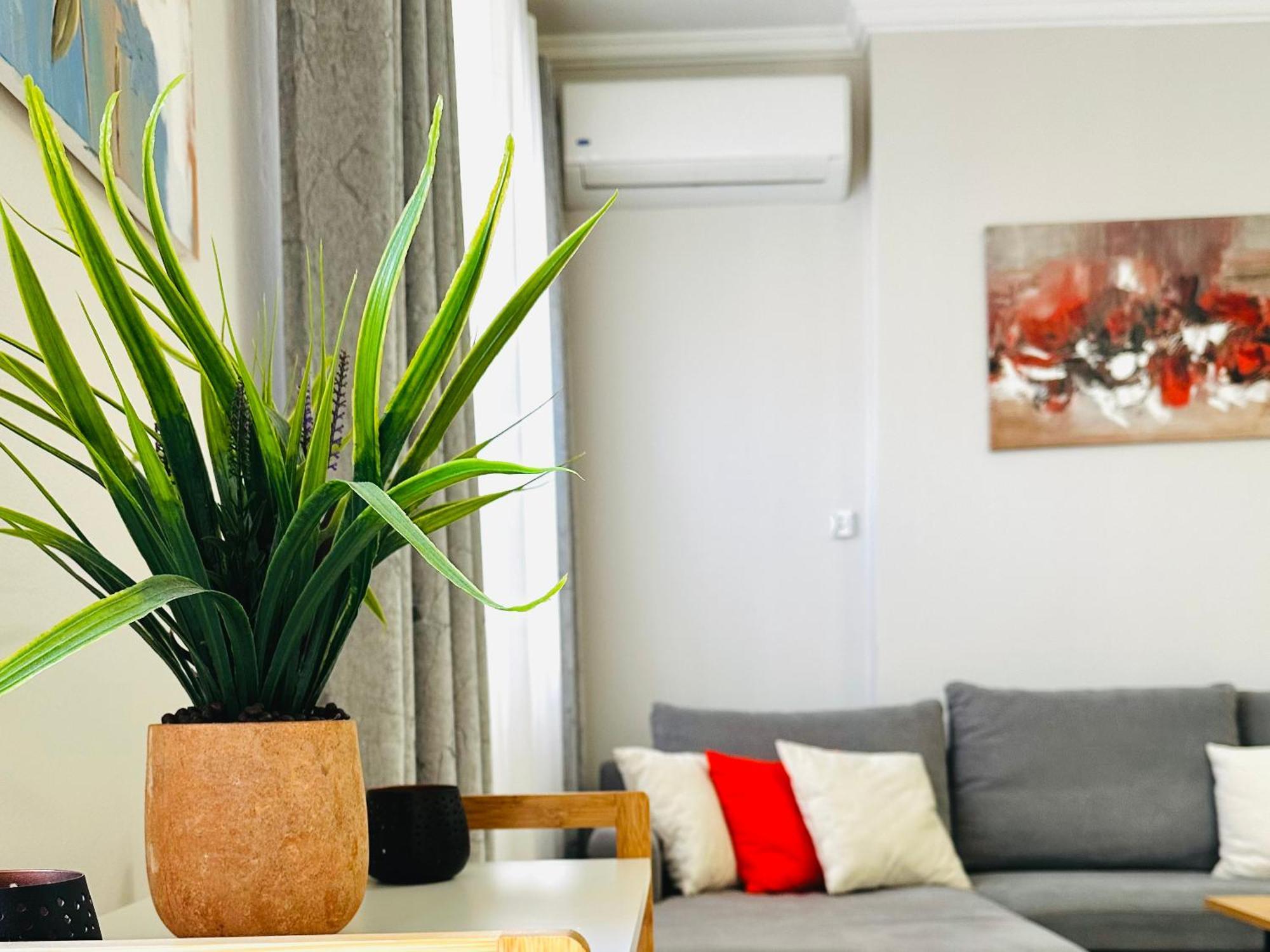 Quiet & Spacious City Center Apartment - 4 Min Walk Tirana Exterior photo